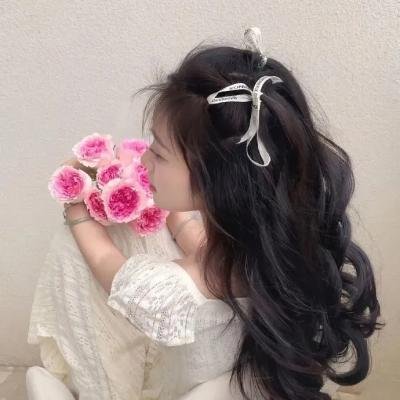 《大宝法王卡玛巴:心灵科技》